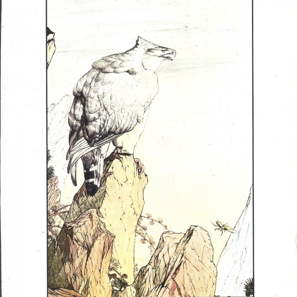 Edward Detmold 11.75" x 8.75" Book Page Print: Fable's of Aesop- Eagle & Beetle
